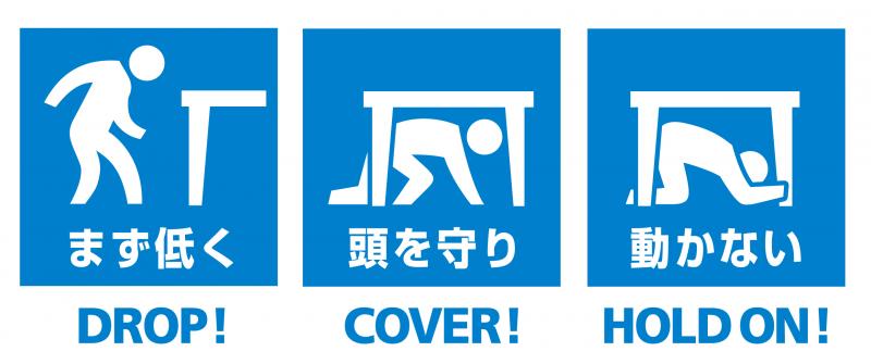 まず低く、頭を守り、動かない