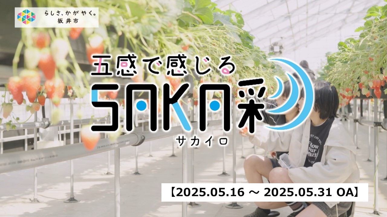 SAKA彩0516