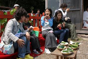 雄島に自生するヤブツバキの葉で包んだ椿餅を味わう人たち