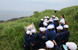 雄島の自然を楽しく探索する高椋小と雄島小の児童