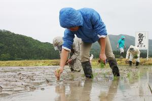 田植え