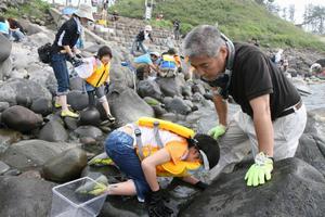 生き物探し