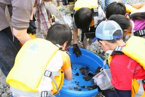 オリジナル水族館