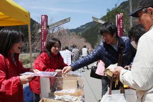 桜保全に向けた募金活動