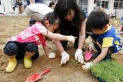 親子で芝植え