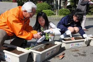 人権擁護委員と協力しながら花の苗を移植していく児童ら