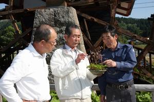 大切に育ててきた花を観ながら、育て方や注意点などを話す山田さん(中)