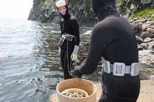 同僚と手順を確認しながら海に入る海女さん