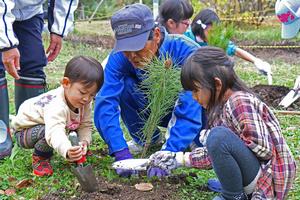 福井県総合グリーンセンターで栽培されたアカマツの苗木を植えていく参加者