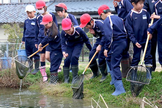 生き物観察会も同時に行われた。メダカやツチガエルのオタマジャクシなど、水が綺麗なところにしか住めない生き物がたくさん見つかる