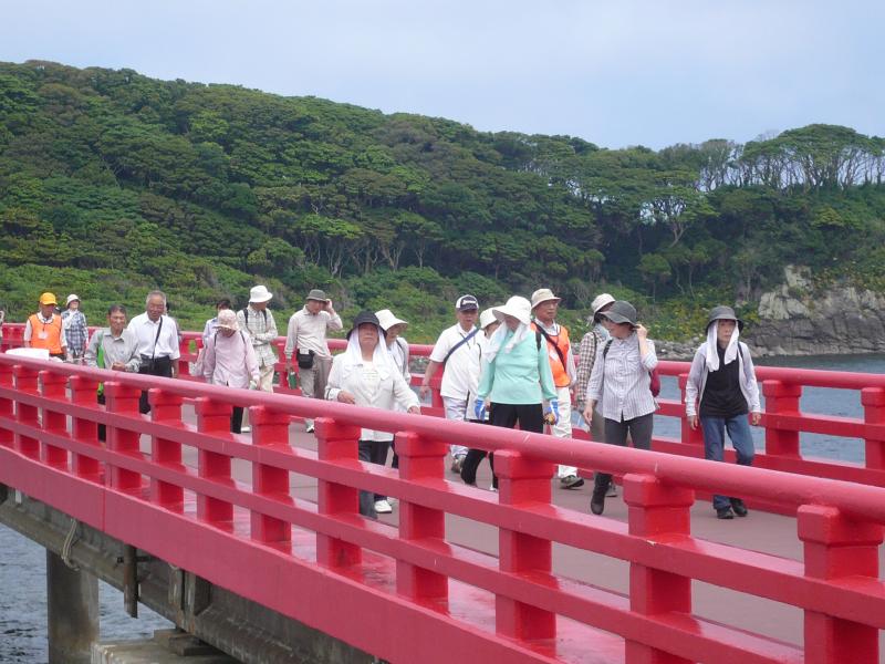 写真：健康ウォーキング大会の様子