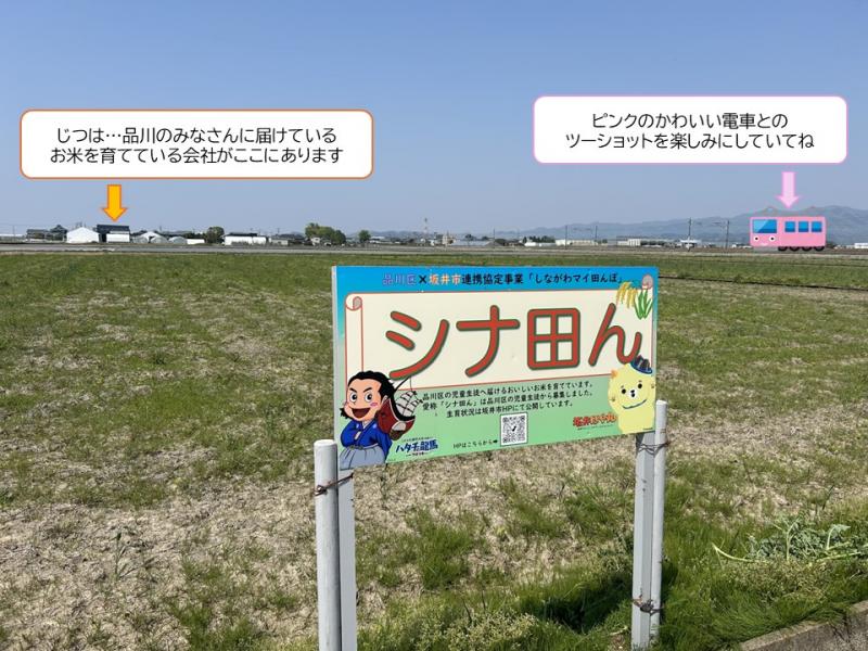 0430看板設置