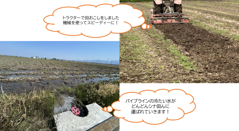 0513田おこし1