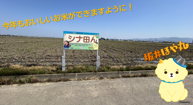 0513田おこし2