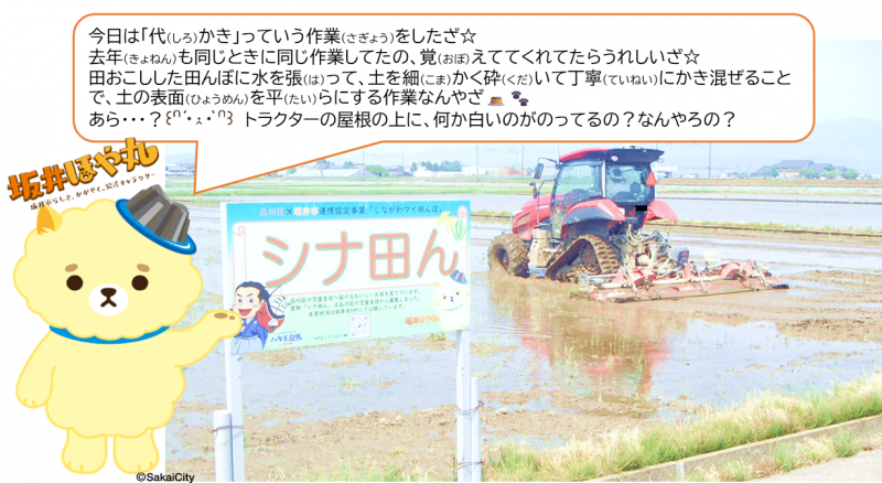 0521代かき1