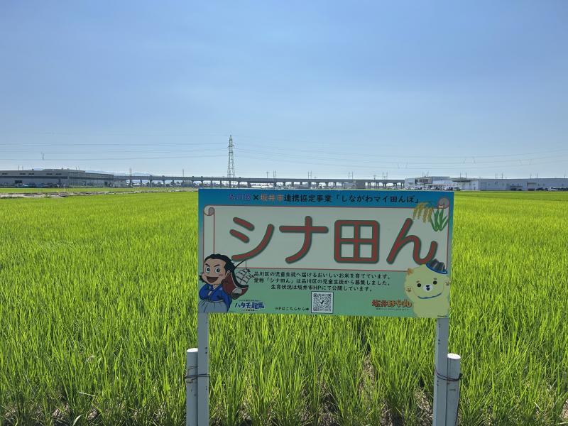 0709看板設置