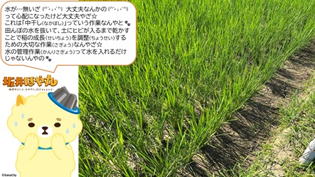 0709中干し2