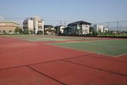 春江テニス場の写真