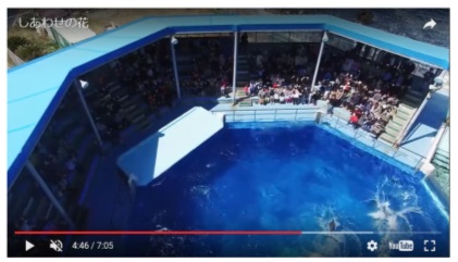 松島水族館