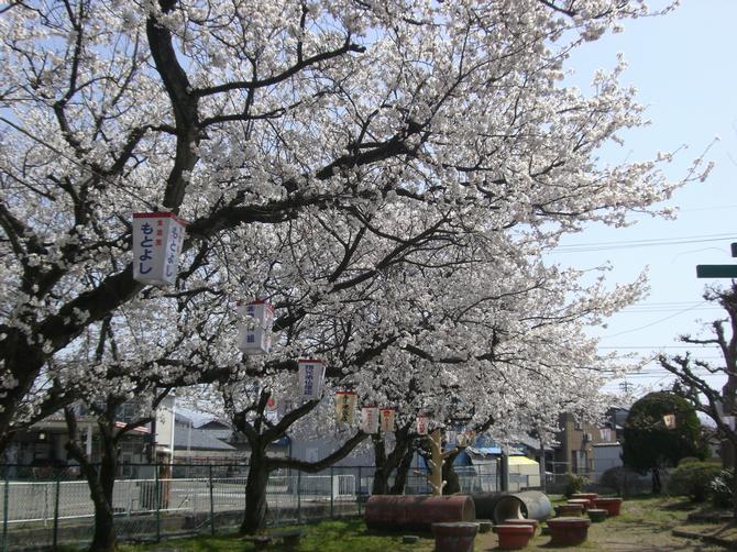 江留上旭公園（写真1）