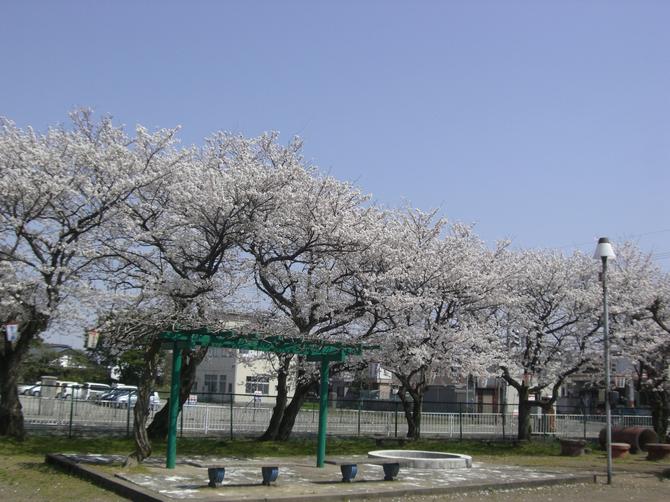 江留上旭公園（写真2）