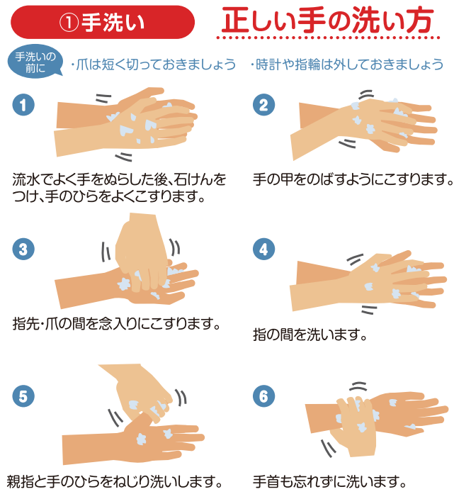 正しい手洗い