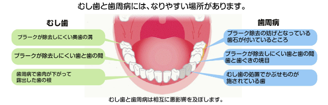 20-30代ポイント