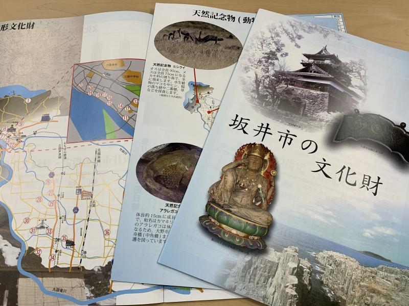 坂井市の文化財