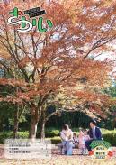 坂井市議会だより第67号12月定例会表紙