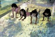 越前松島水族館の写真