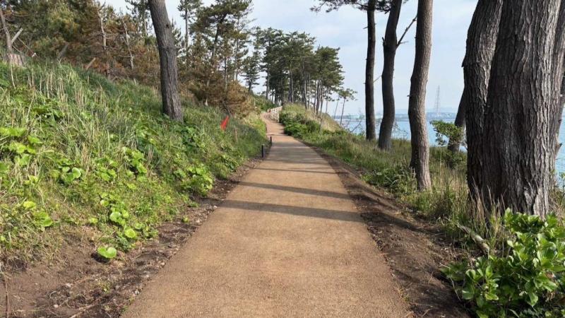 東尋坊荒磯遊歩道1