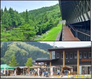 フォーシーズンテラス・こってコテいけだ