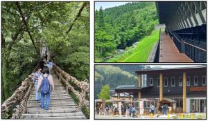 かずら橋