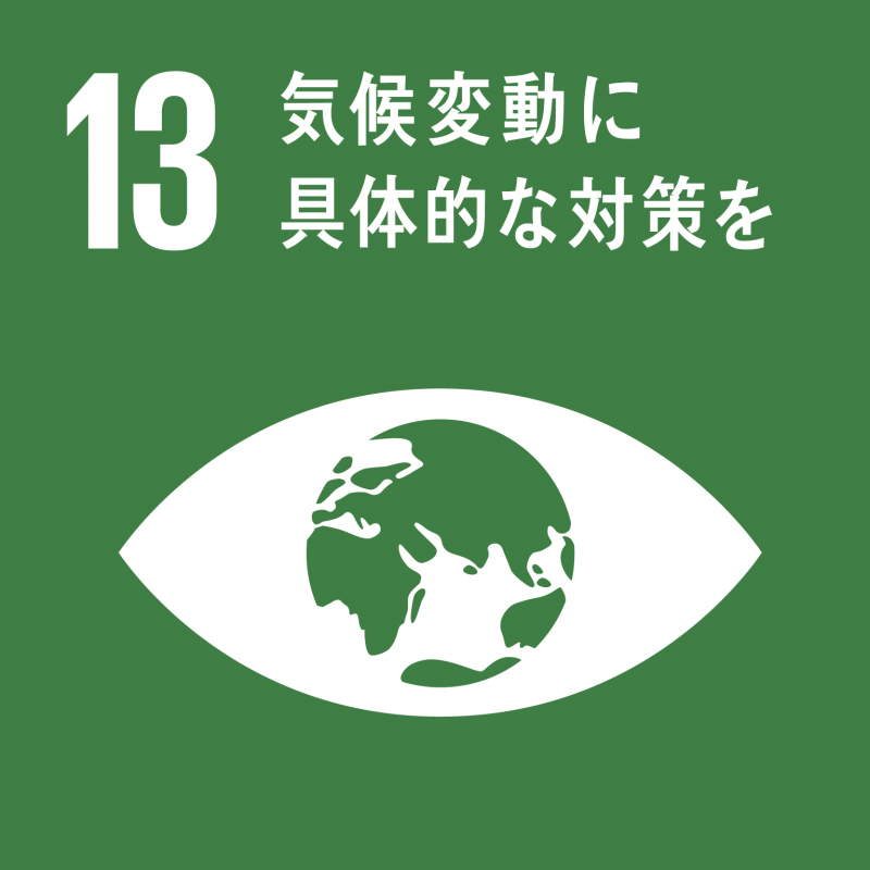 SDGS13