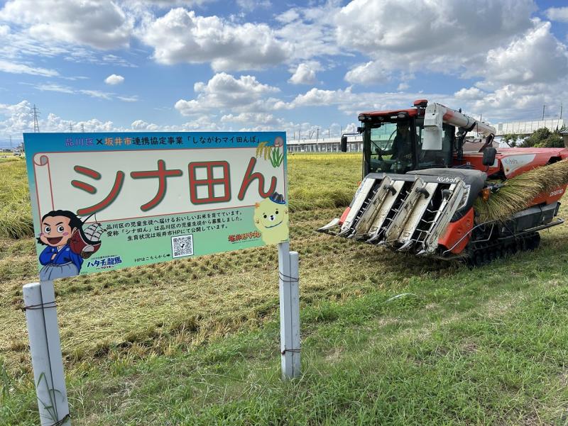 しな田