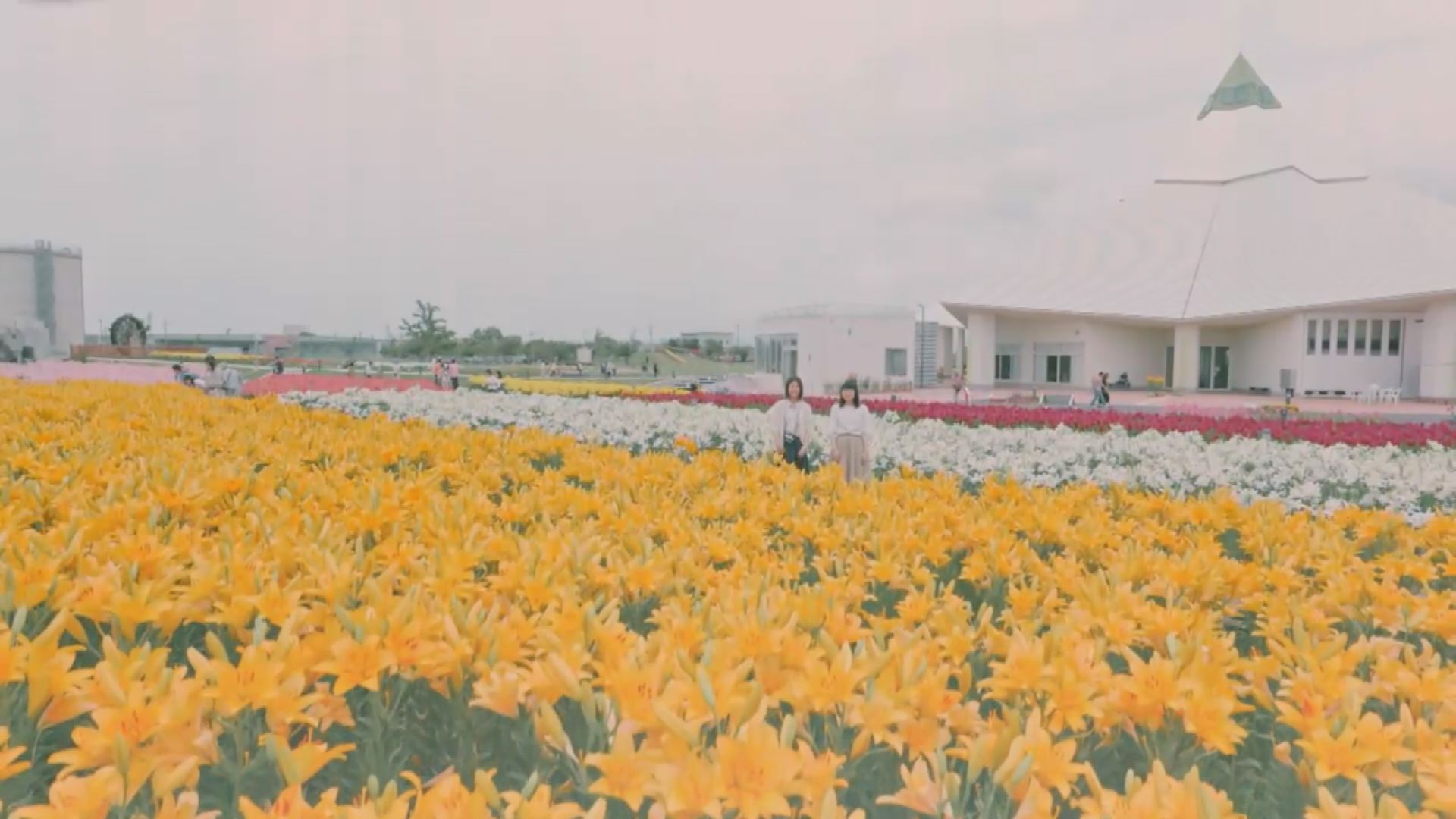 ゆりの里公園CM