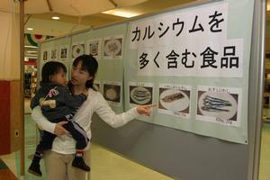 パネル展示