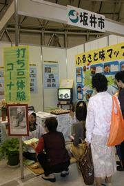 パネル展示