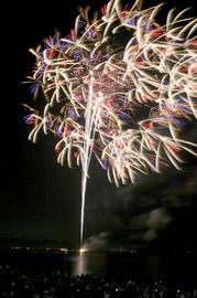 市の花・ユリをイメージした芸術花火「ゆりの花々」