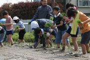 「植える深さは、苗を持った指の第二関節くらい」と、地元農家が丁寧に指導