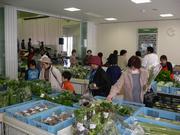 新鮮な野菜を選ぶ買い物客