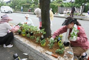 花植え