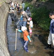 田んぼの生き物調査