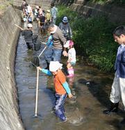 田んぼの生き物調査