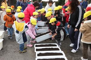 全部で20鉢