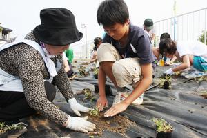 合同で花植え