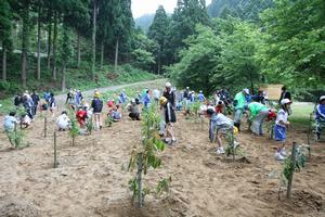 大勢で植樹