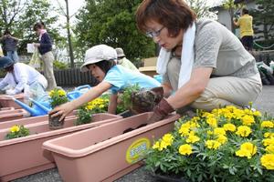 花植え