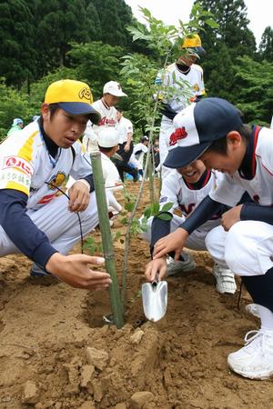 エレファンツも植樹