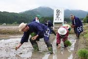 酒米の田植え